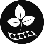Soy