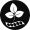 Soy